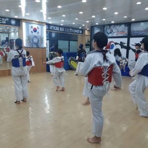 한양대 금빛태권도