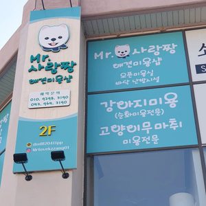 Mr사랑짱애견미용샵