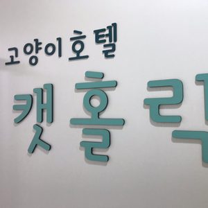 캣홀릭