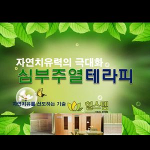 힐스템