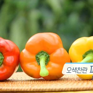 하나로 파프리카,딸기 농장