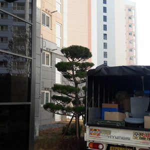 개인용달 원룸이사 소형화물