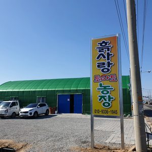 흙사랑