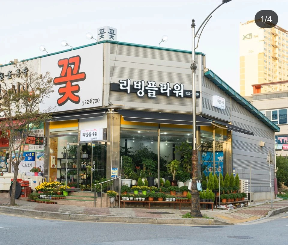 리빙플라워