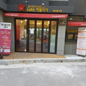 까멜리아