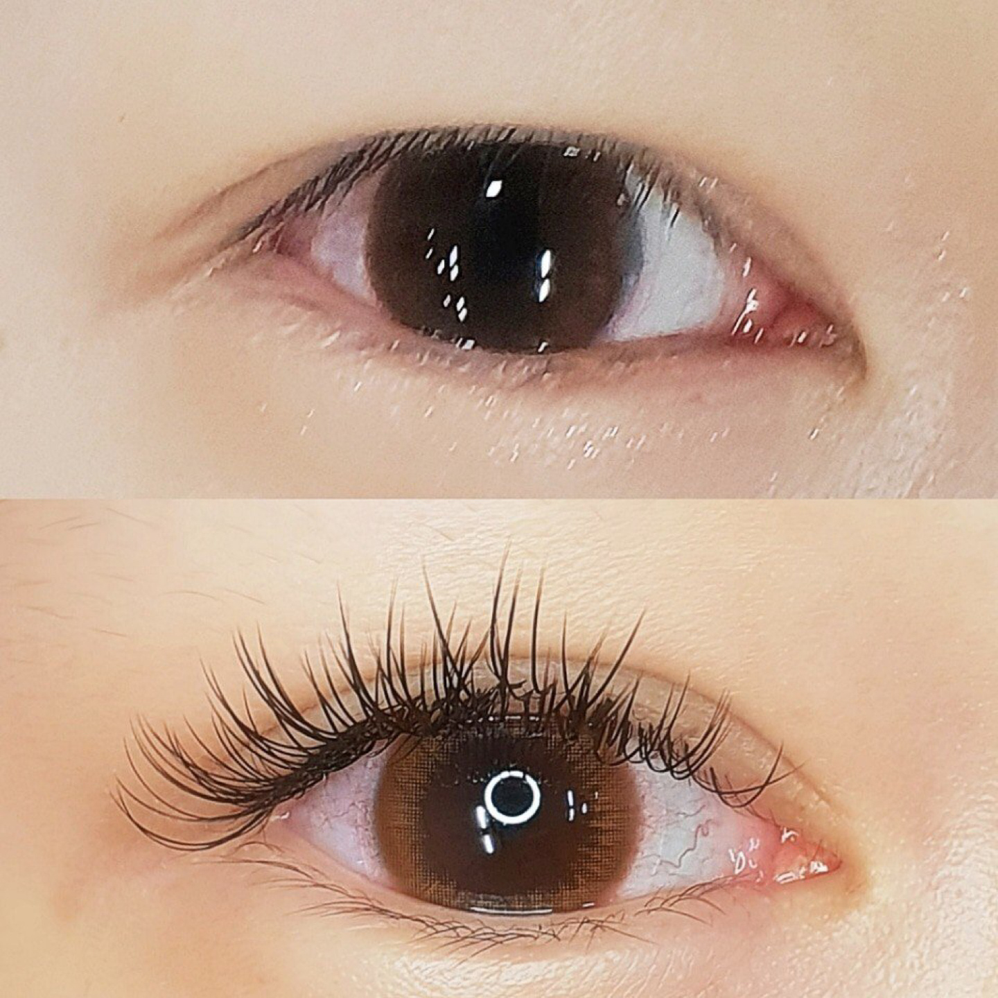 뷰티련