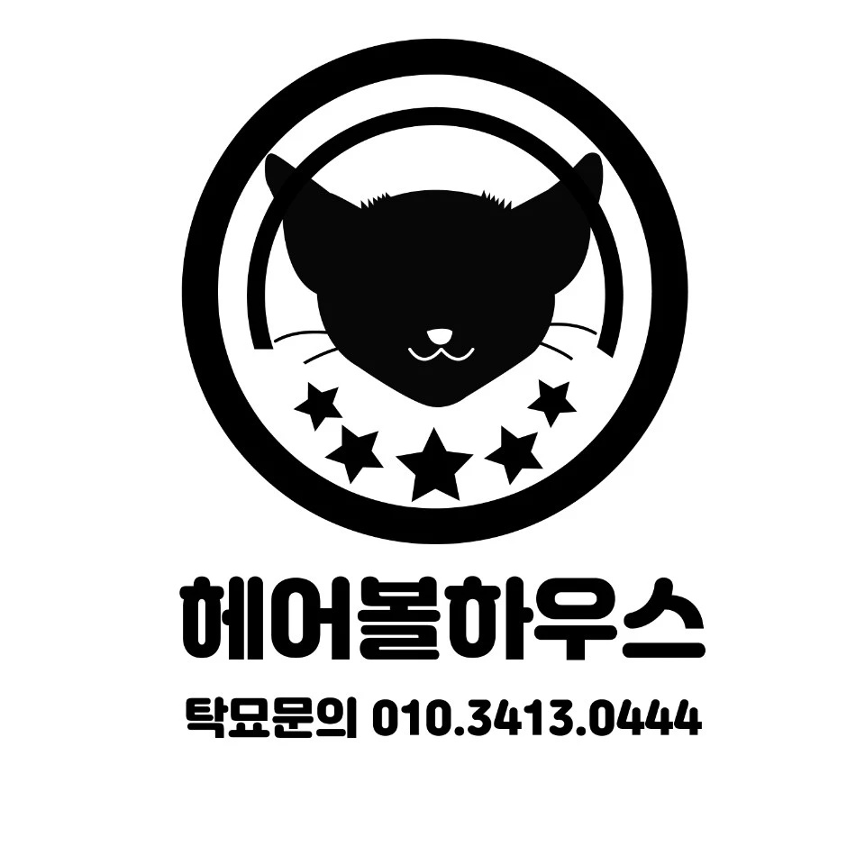 헤어볼하우스