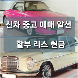 성인모터스 이수원