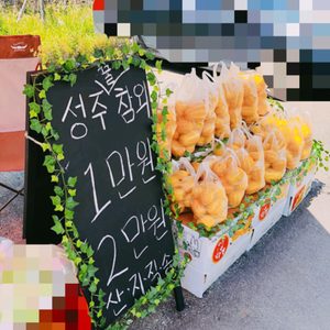 산지직송 과일