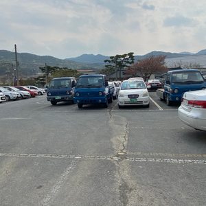 신로얄자동차상사