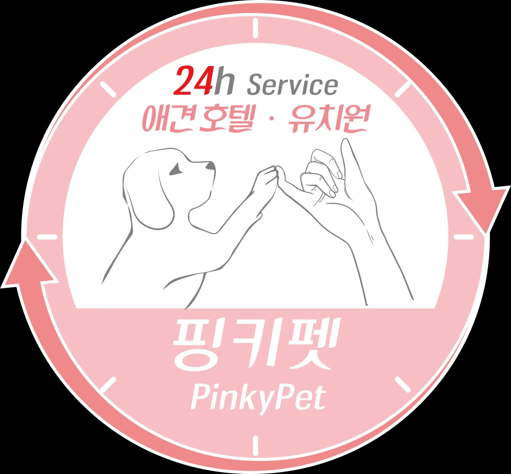 핑키펫 애견호텔&유치원