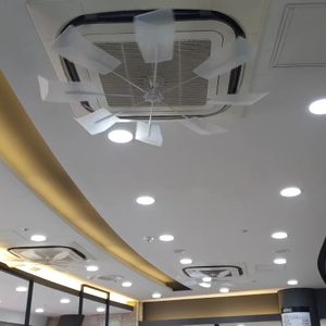 돌핀 경남지사