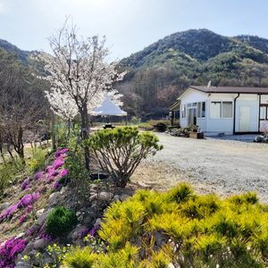 힐링하우스 민박.펜션