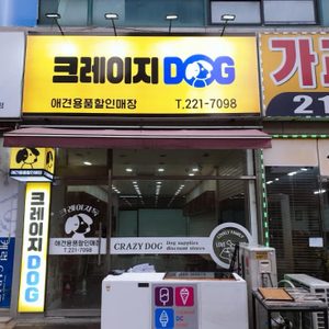 애플펫 현재 크레이지 독