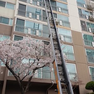 따봉사다리