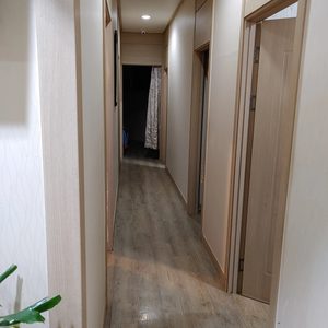 중국명가발관리