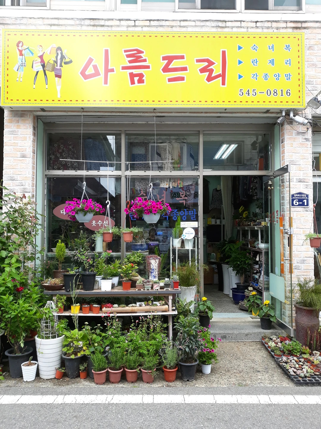 아름드리