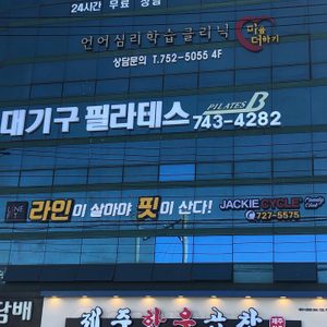 라인핏