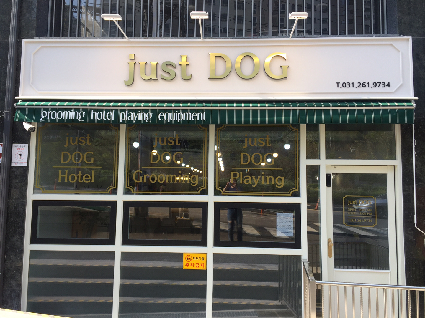 just DOG
