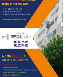 개미코킹