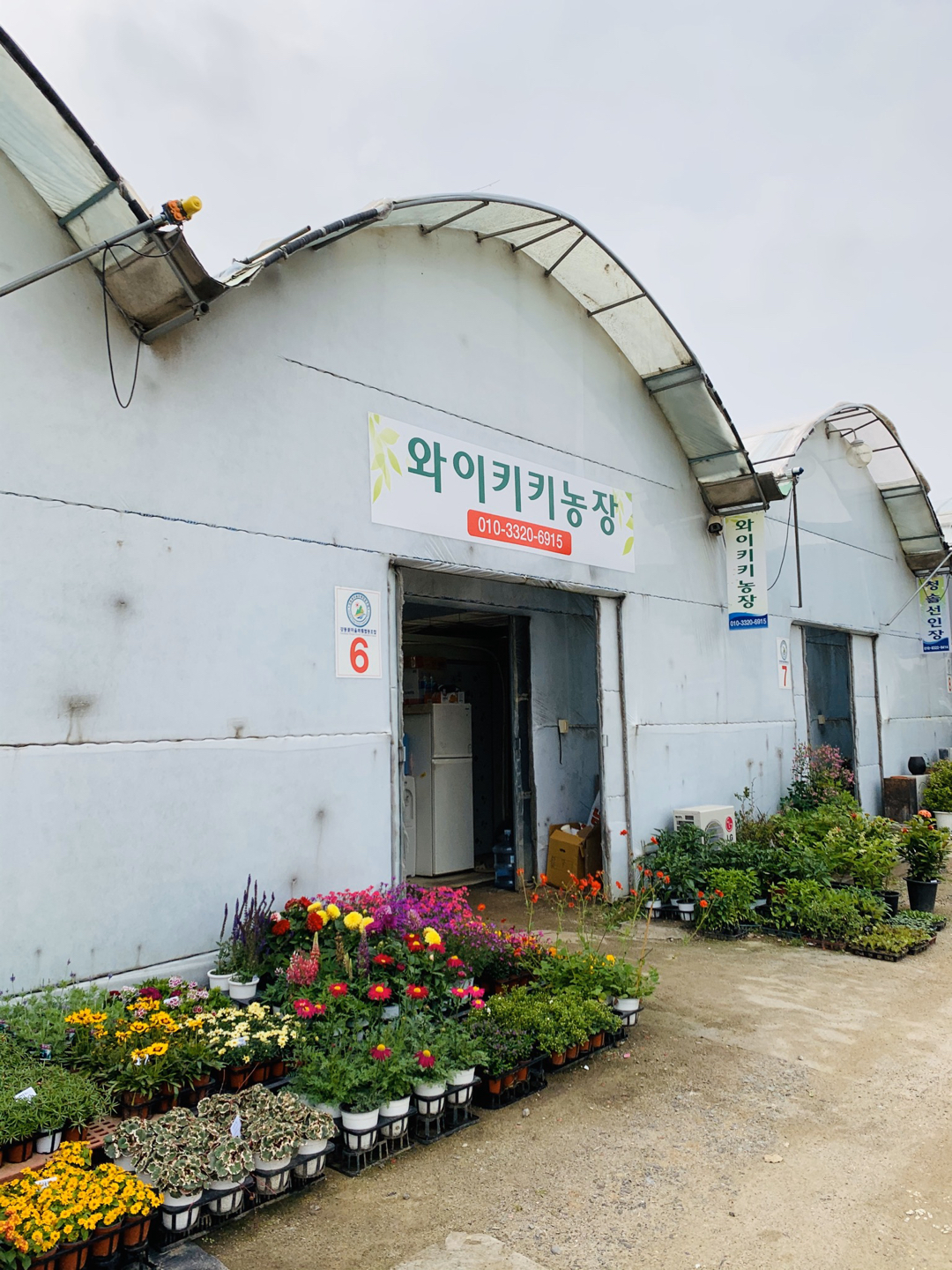 와이키키농장