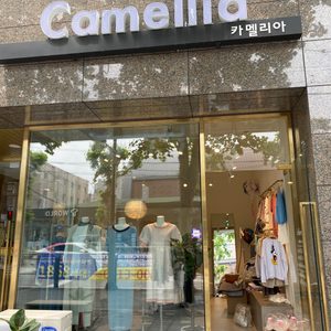 카멜리아