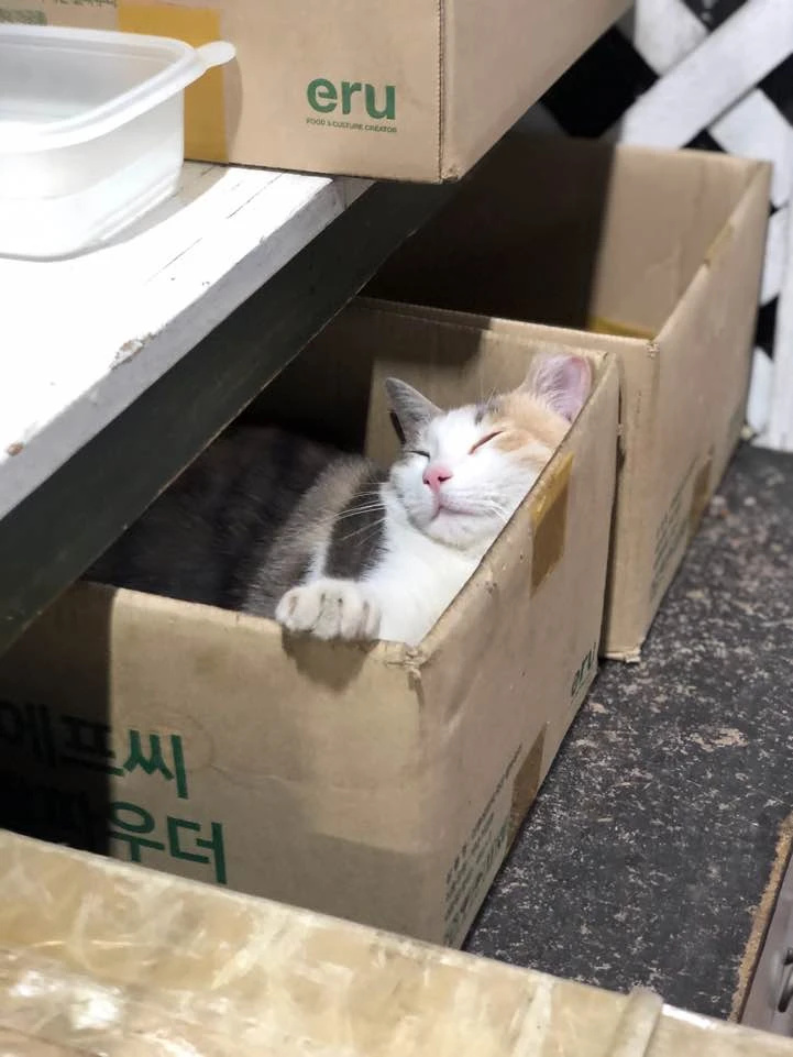 오븐치킨) 땡큐맘치킨 대치점