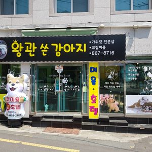 왕관쓴강아지