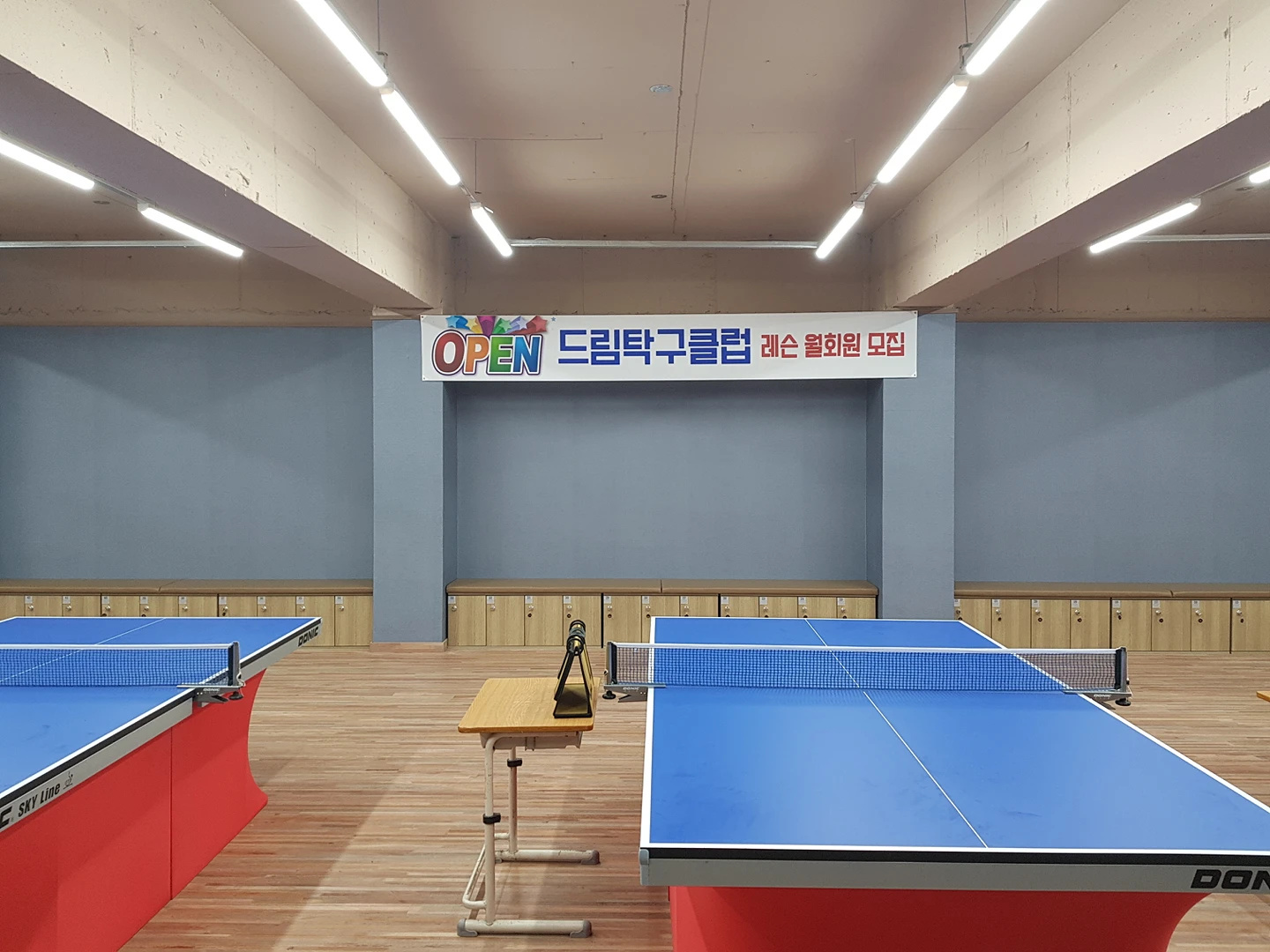 드림탁구장