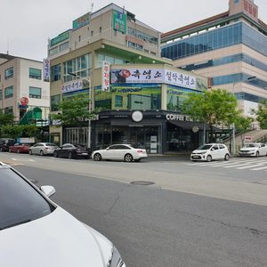 설악흑염소