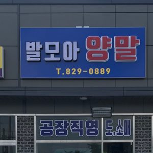 발모아양말