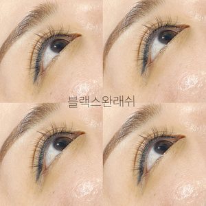 블랙스완래쉬