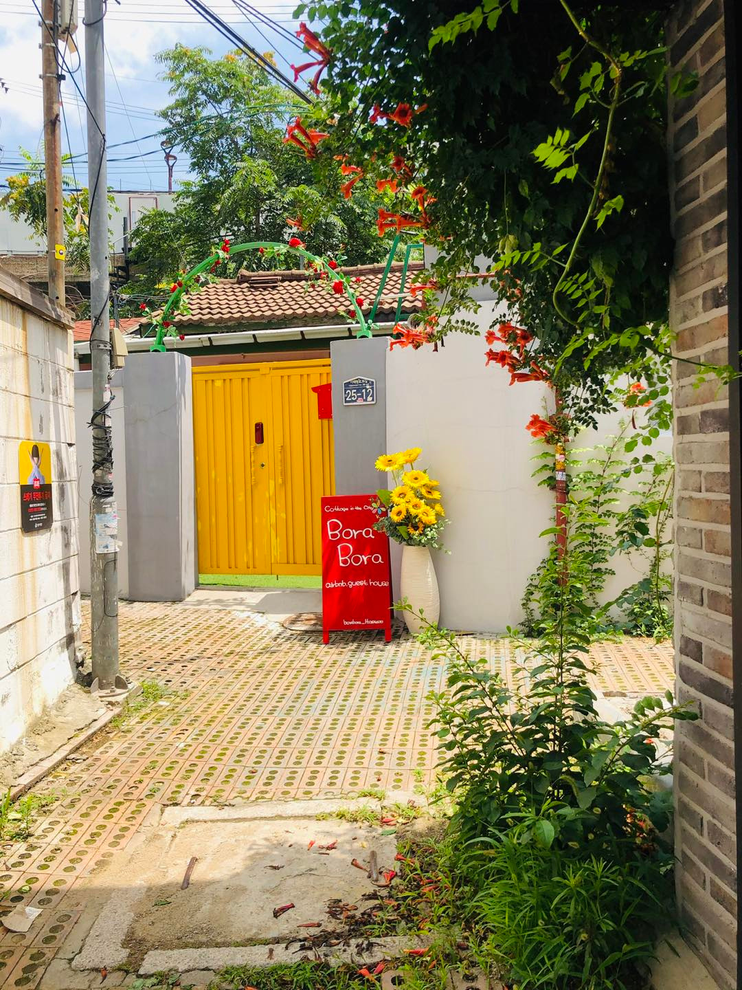 보라보라