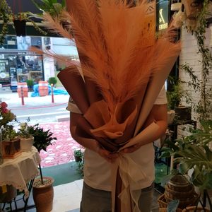 플랜테리어