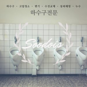 수도이즈