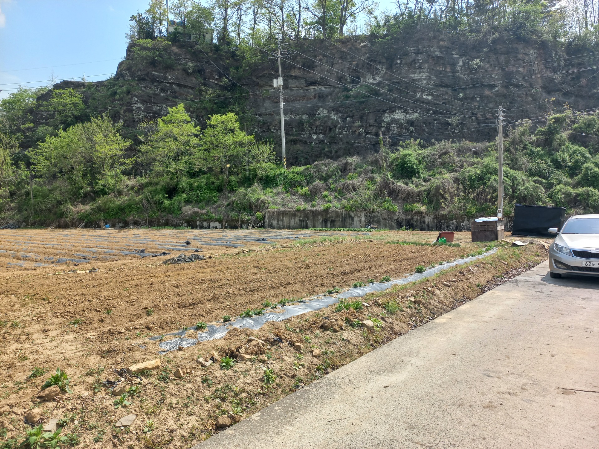 평면도