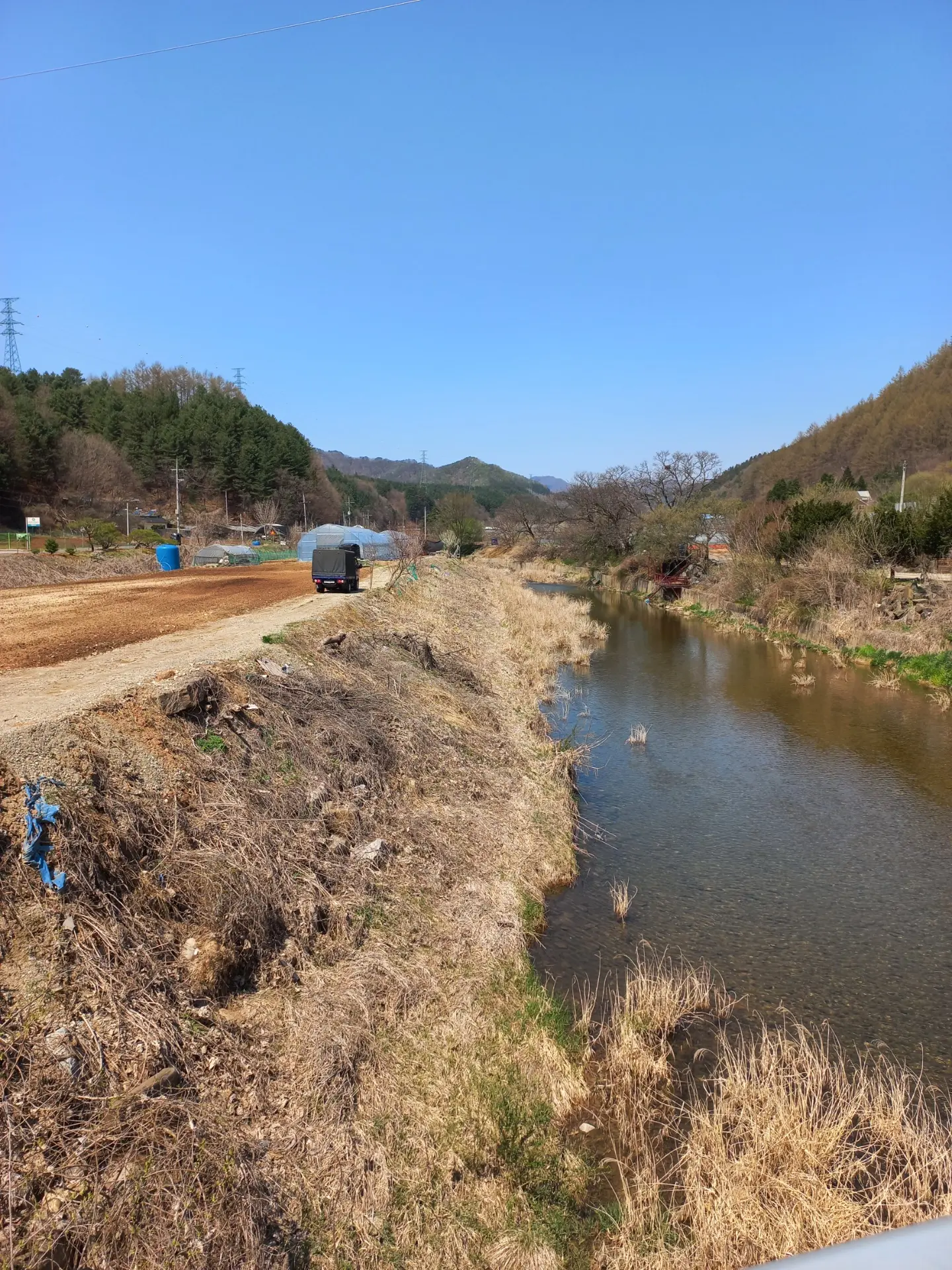 평면도