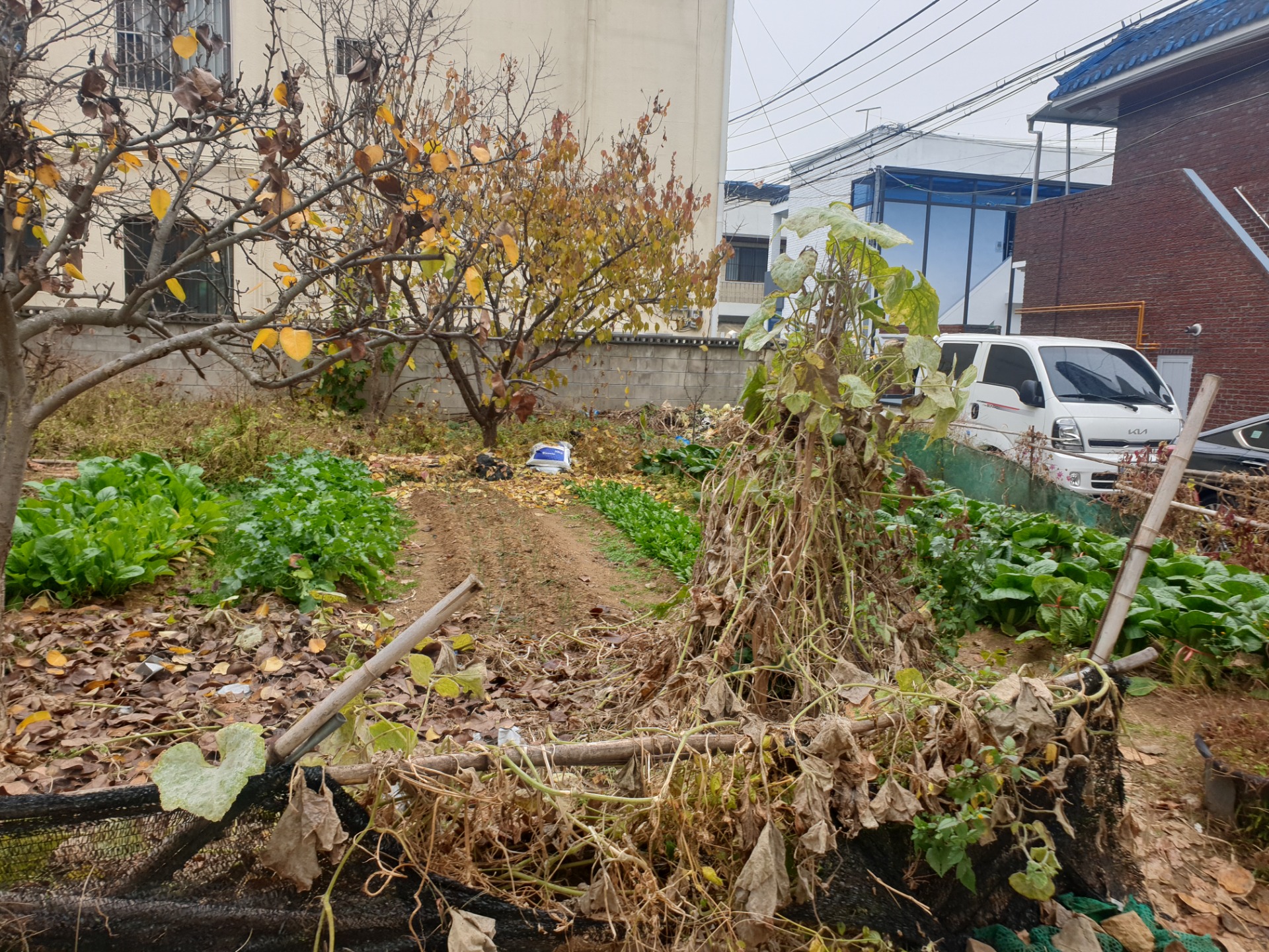 평면도