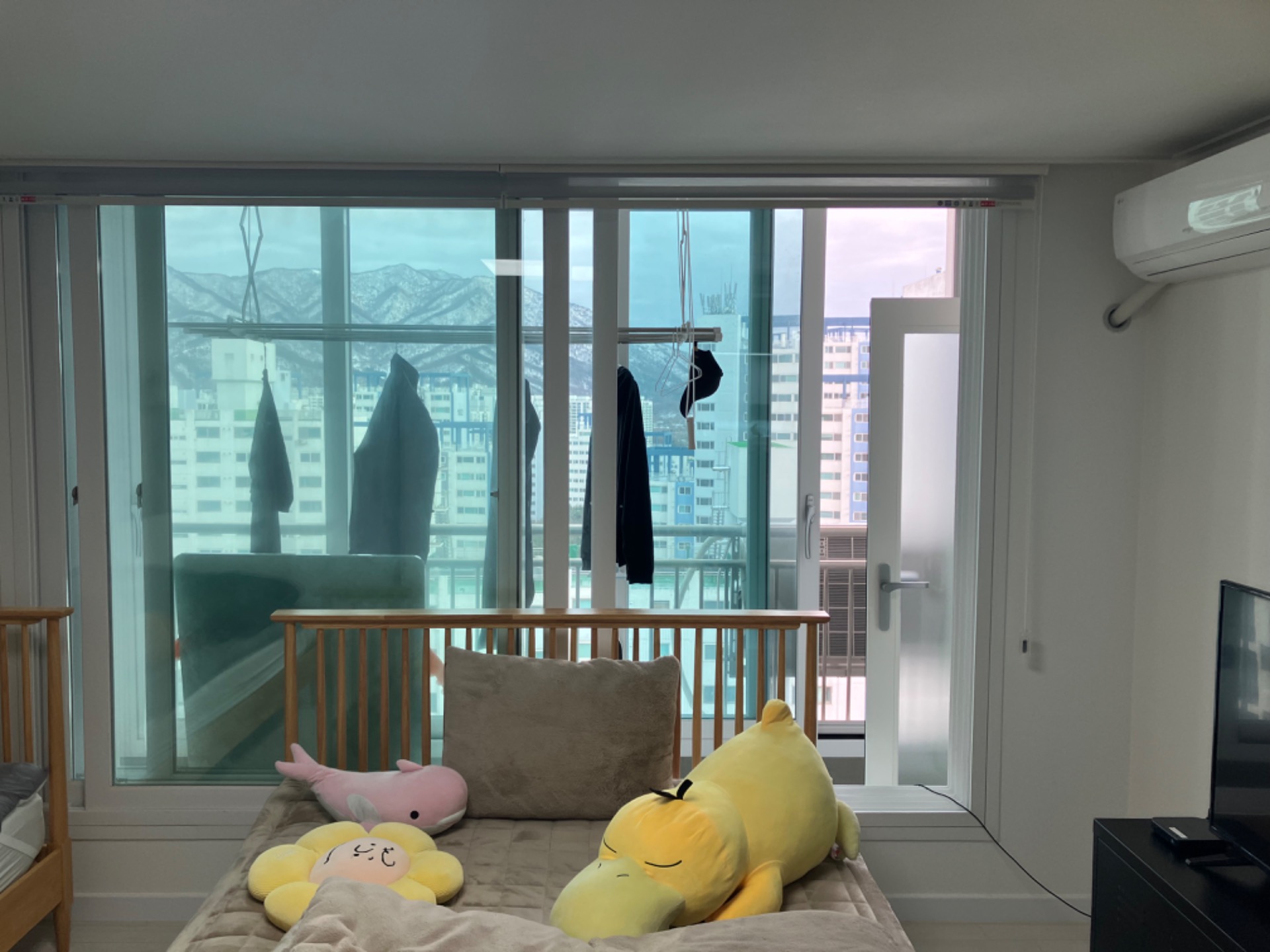 평면도