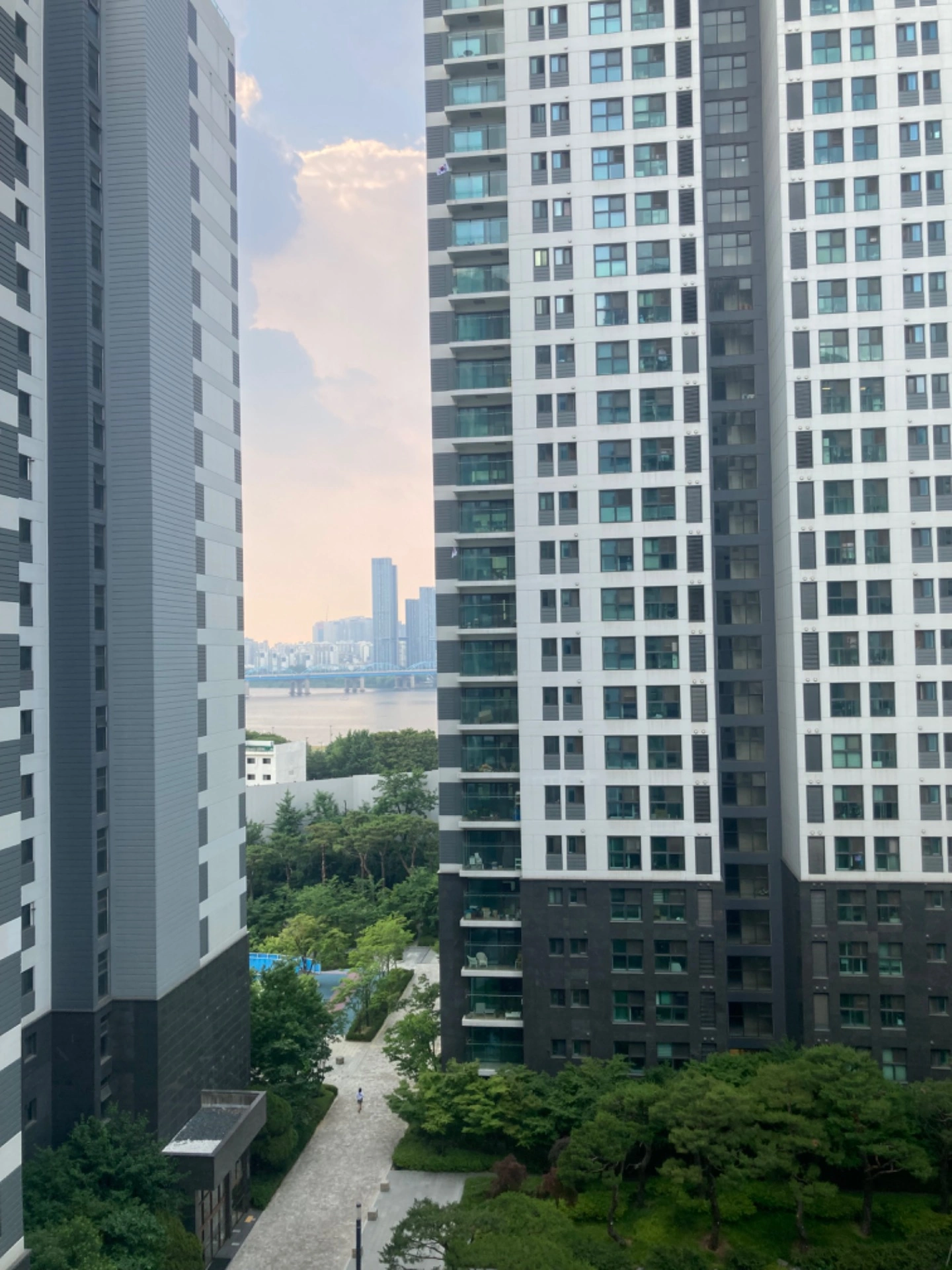 평면도