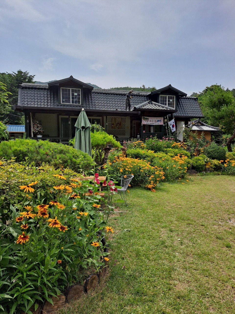 평면도