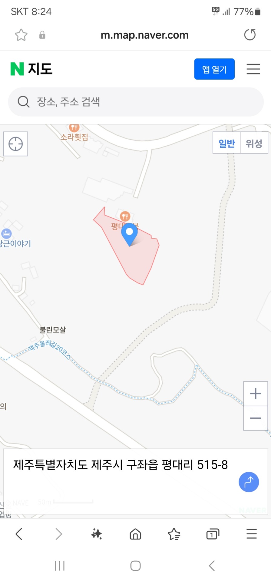 평면도