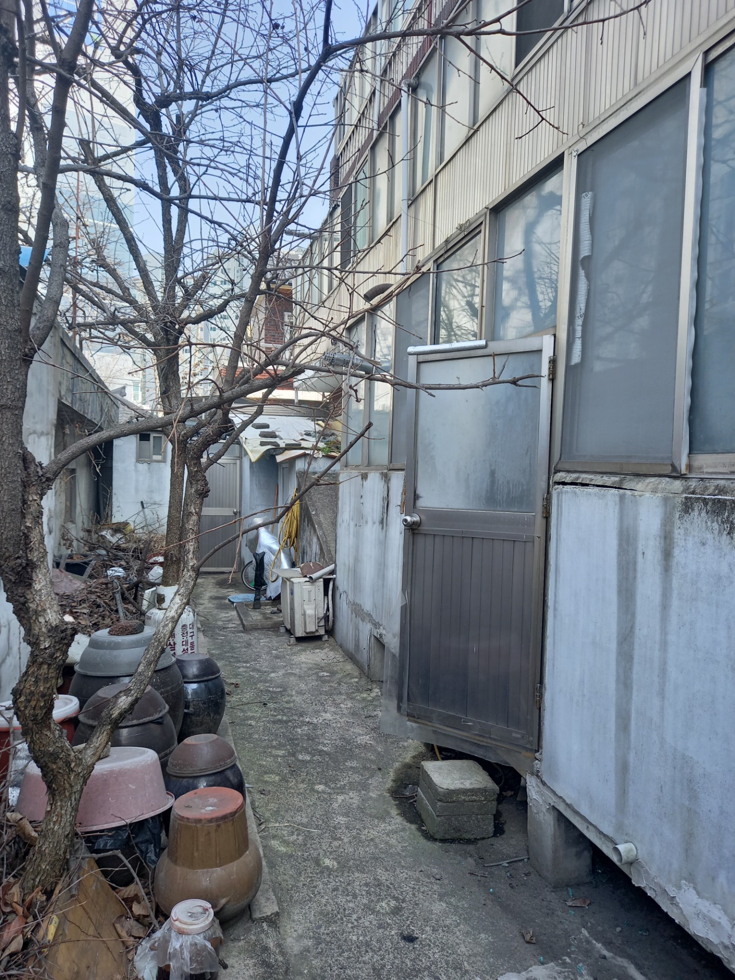 평면도