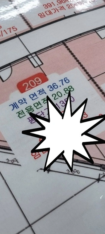 평면도