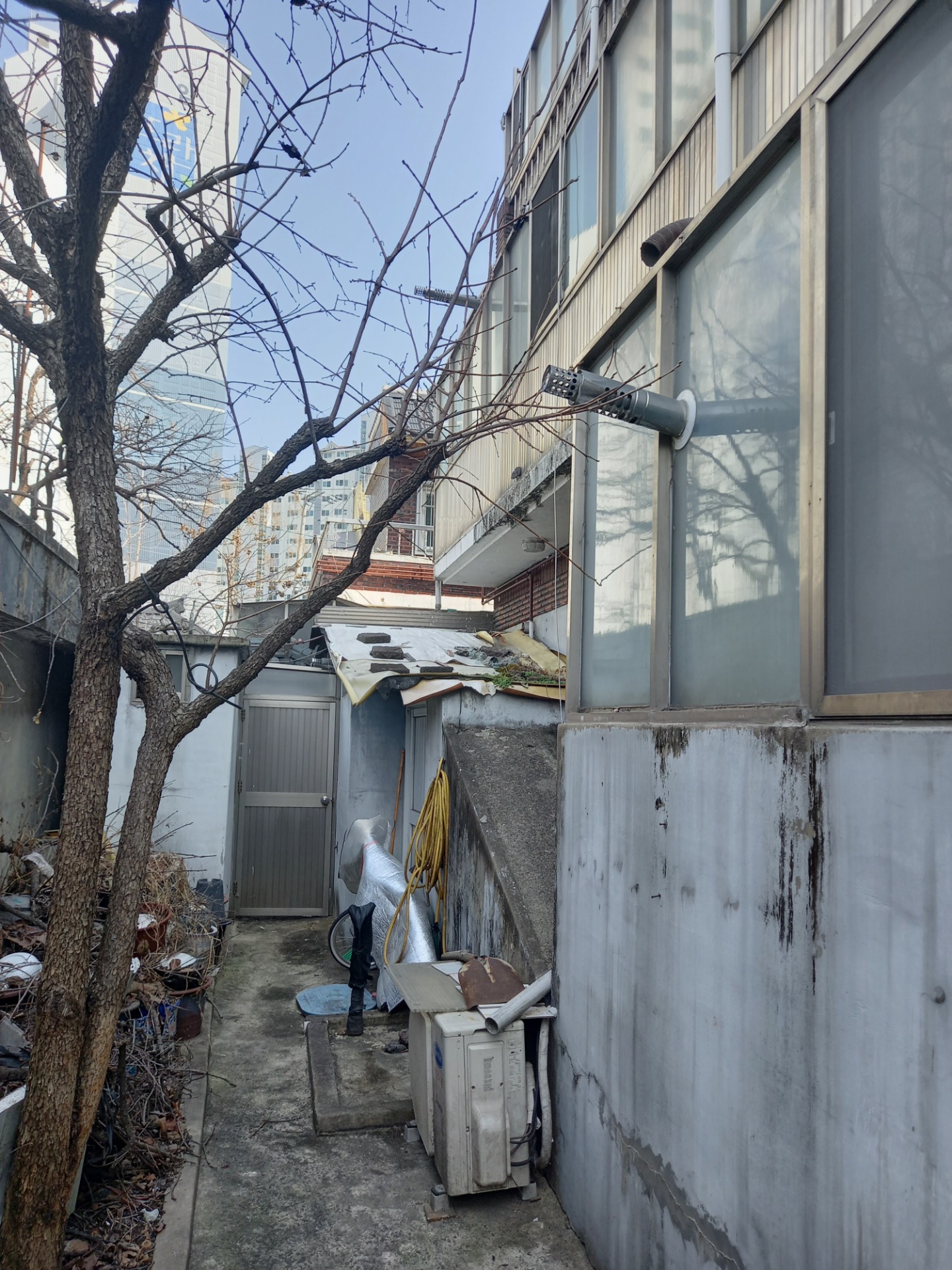 평면도