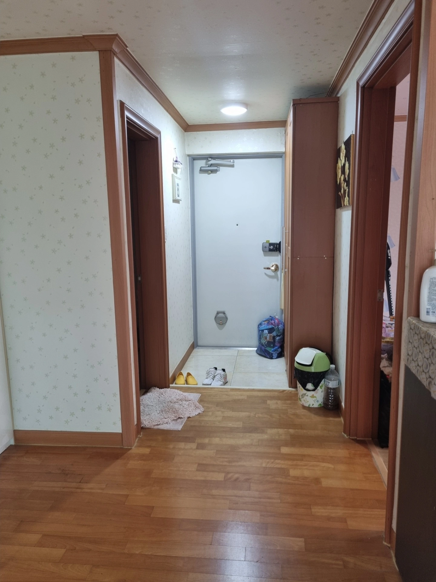 평면도