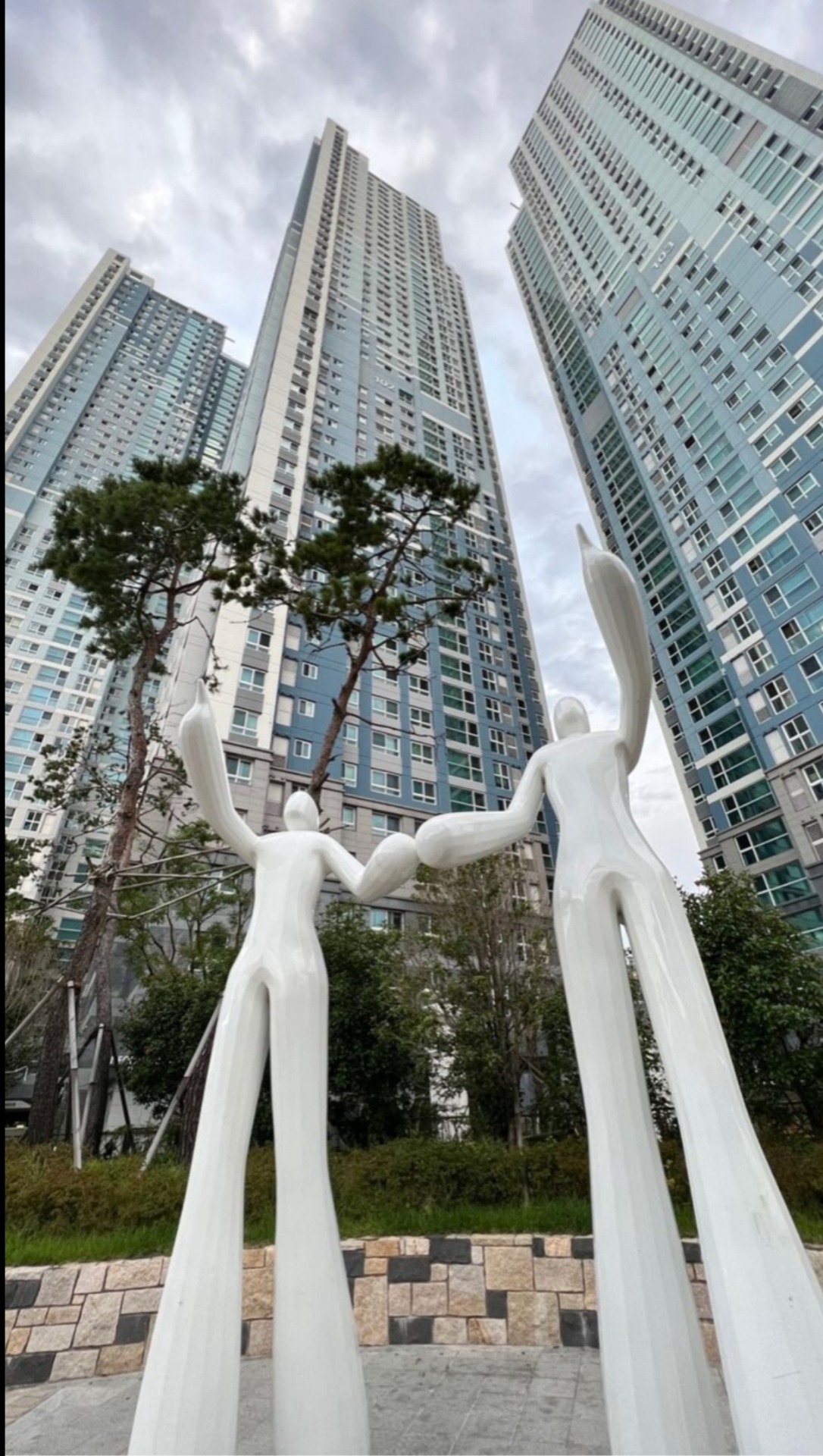 평면도
