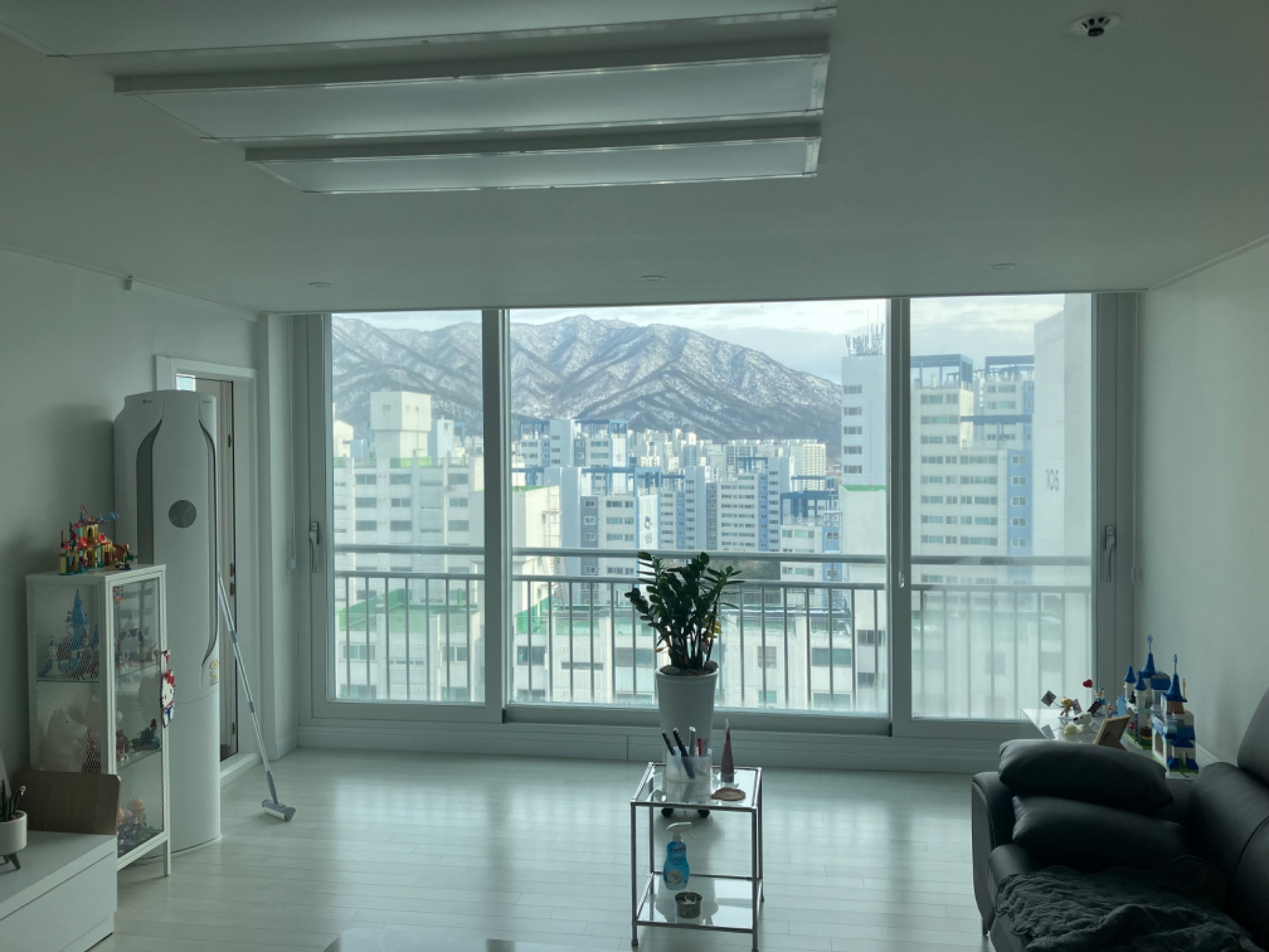 평면도