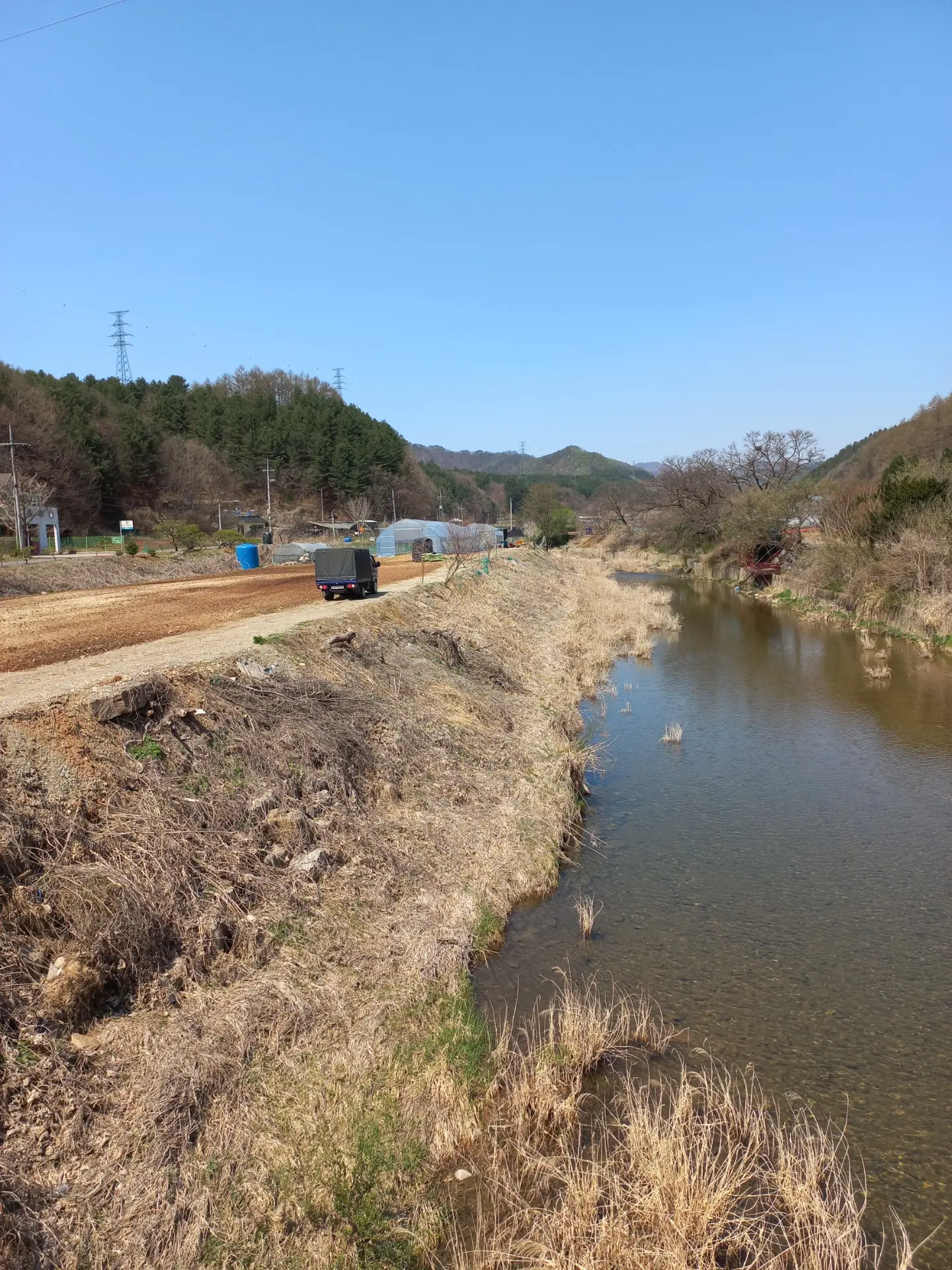 평면도