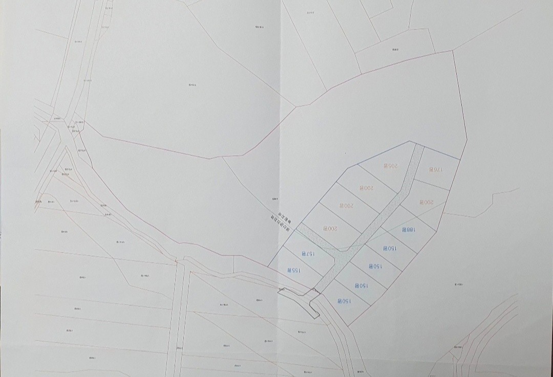 평면도